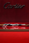 Cartier Limited Edition Panthere Sterling Silver Fountain Pen